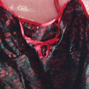 Sexy red and black lingerie...used only for the purposes of making the video